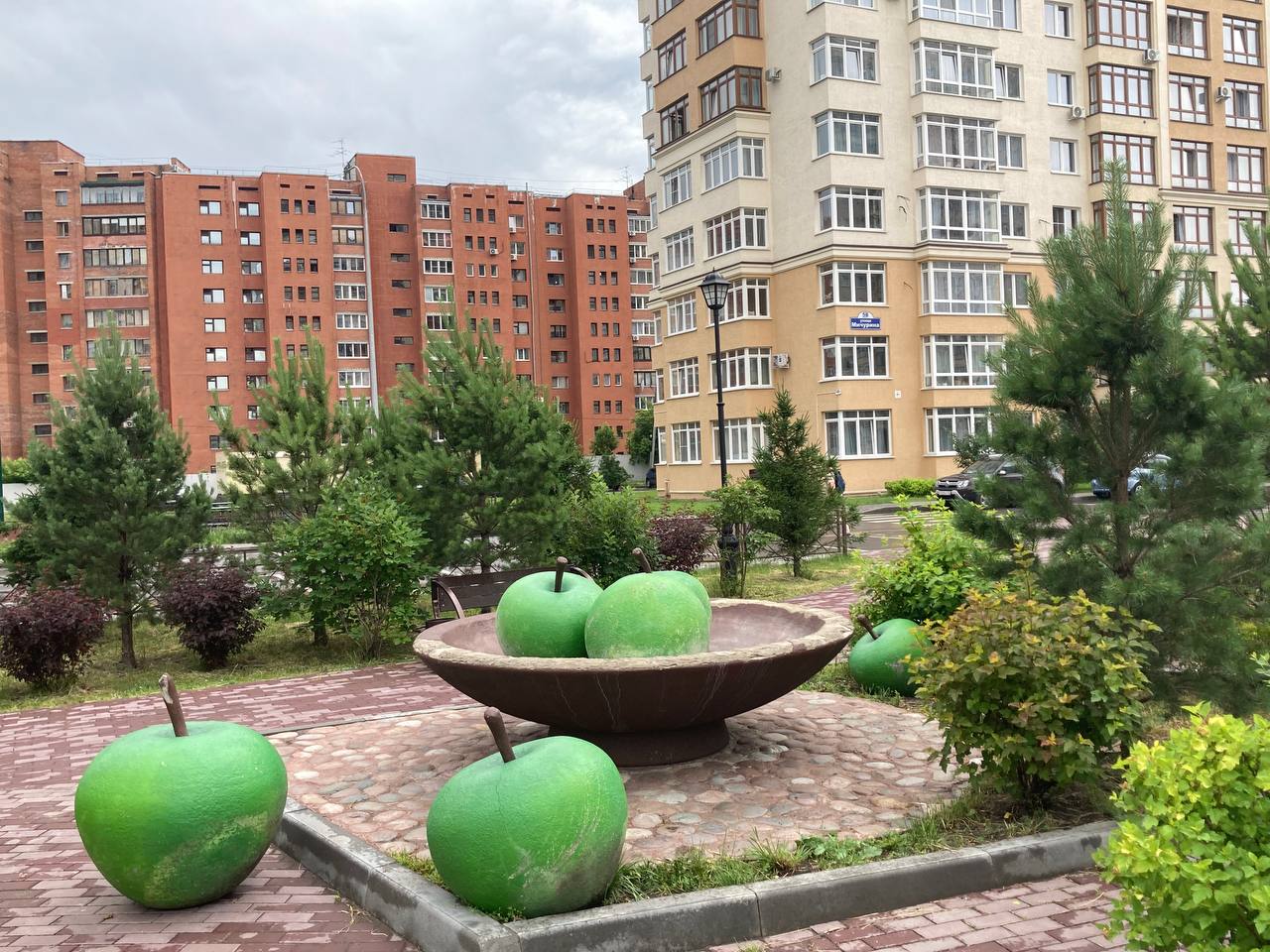 Фото студента КемГИК Асачевой Веры 24 июня 2025 г.